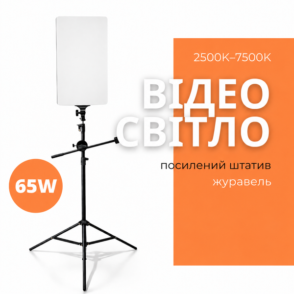 Комплект видеосвета RL-19T с LED-панелью, штативом-журавлём, держателем для телефона и пультом 779702 фото